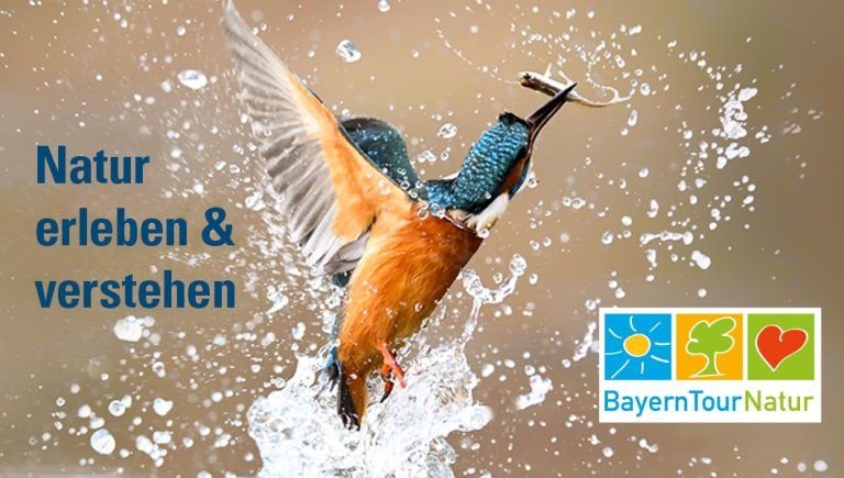 BayernTourNatur!