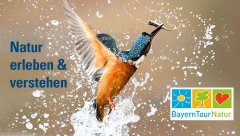 BayernTourNatur! BayernTourNatur!