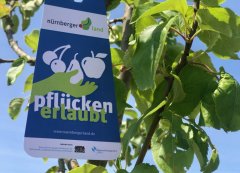 Gelbes Band - Pflücken erlaubt Gelbes Band - Pflücken erlaubt